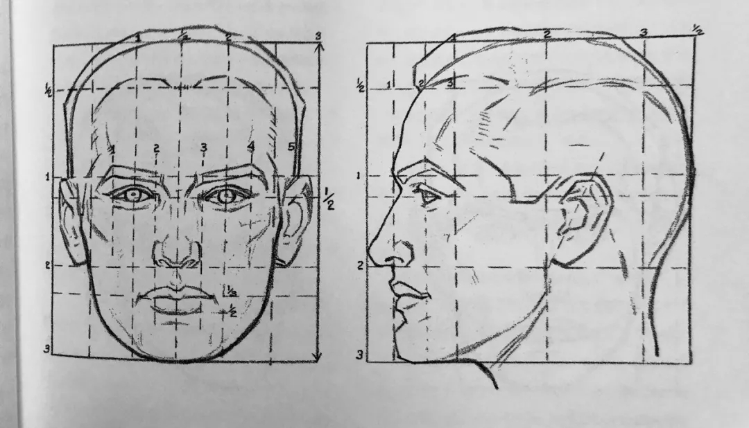 包包老师的绘画小课堂-第二课 头部的基础结构